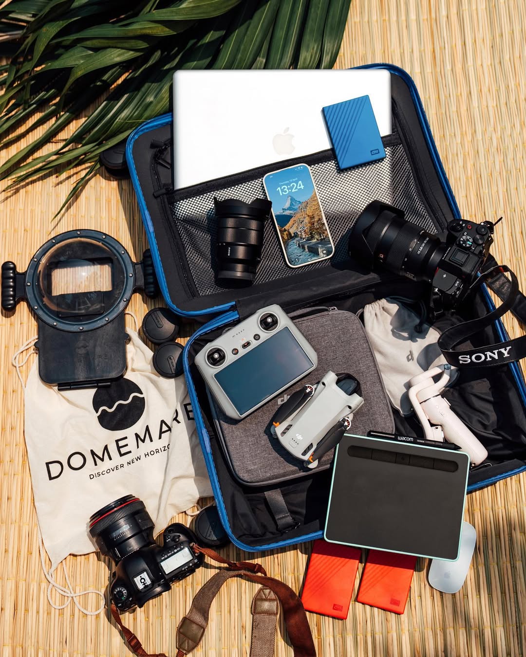 Alesia's camera gear
